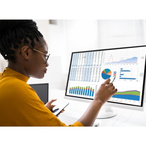 Woman looking at data graphics on her computer.