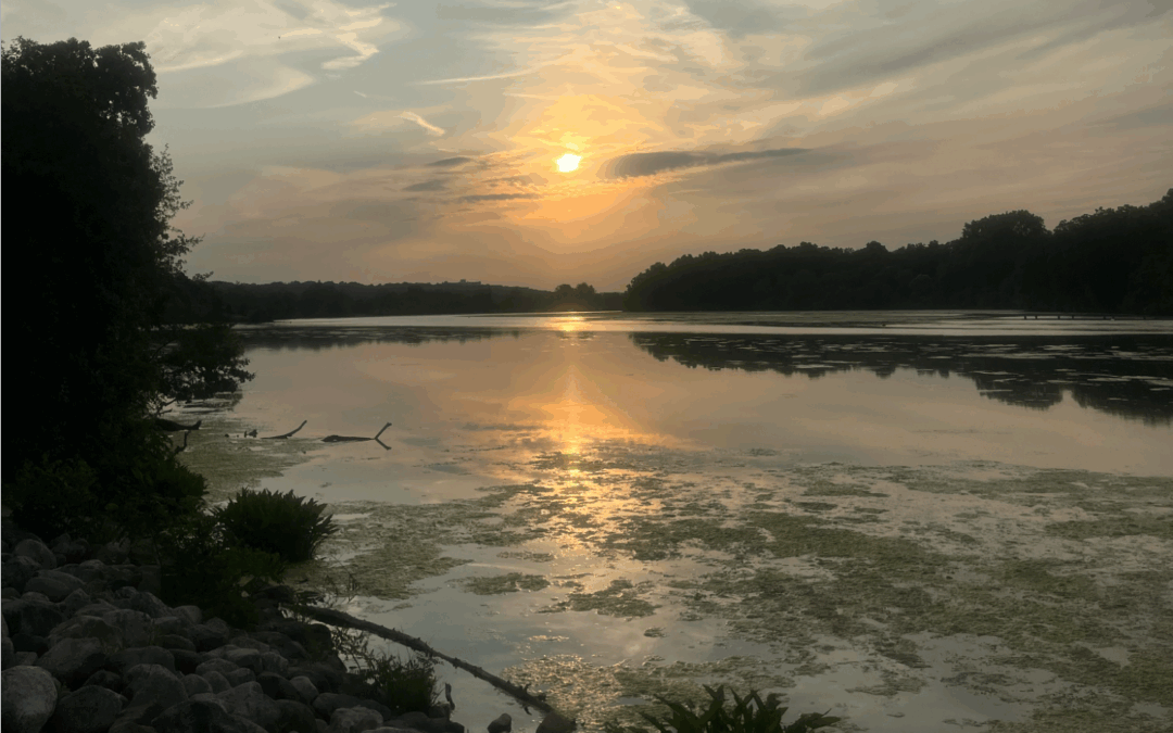 sunrise in gallup park