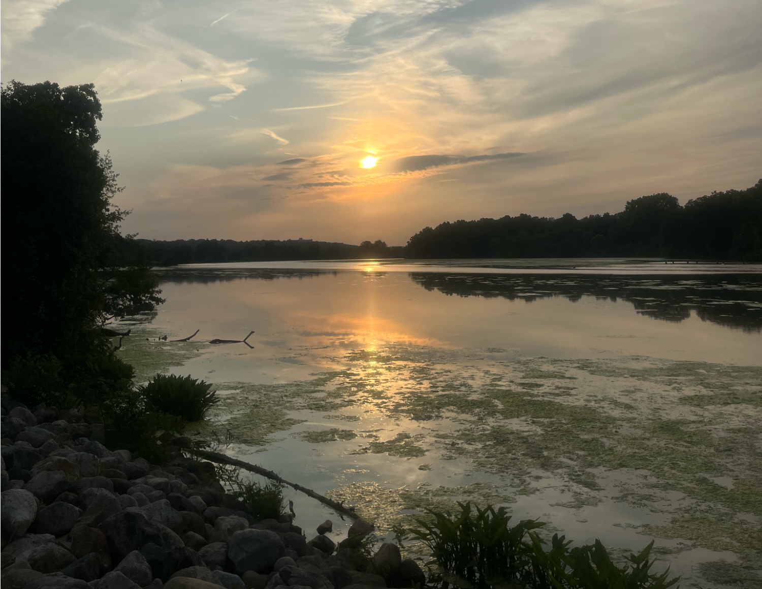 sunrise in gallup park